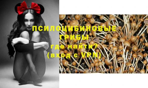 марки lsd Алексин