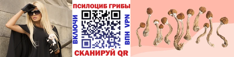 Купить где  Советская Гавань  Псилоцибиновые грибы ЛСД 